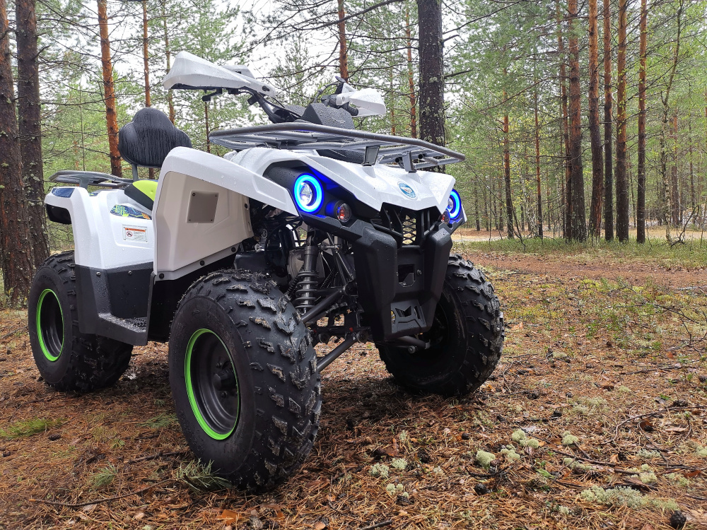 Квадроцикл PROMAX RENEGADE 280 (2025) в Майкопе