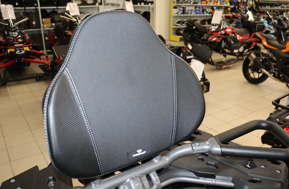 Квадроцикл PROMAX RENEGADE 300 LONG WINCH PRO (2025) в Майкопе