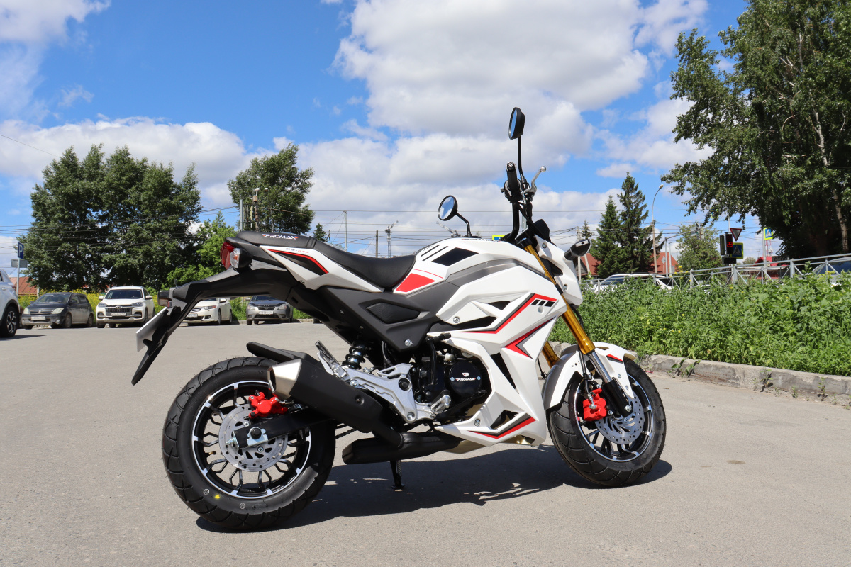Мотоцикл PROMAX STRYKER 200(49) 2.0 в Майкопе