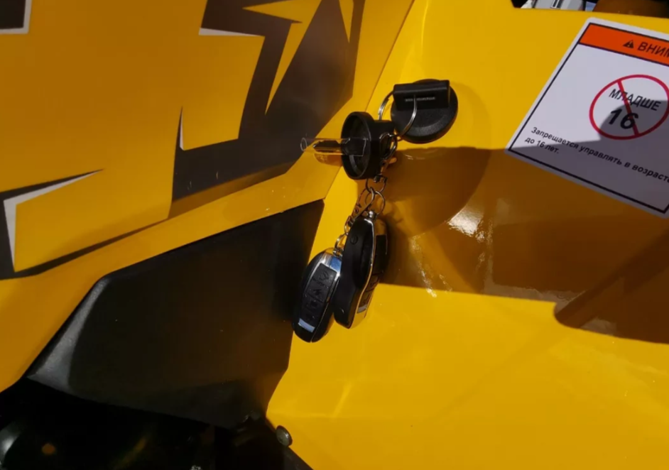 Квадроцикл MOTOLAND (МОТОЛЕНД) VOX200 WILD TRACK X PRO (баланс. вал) в Майкопе