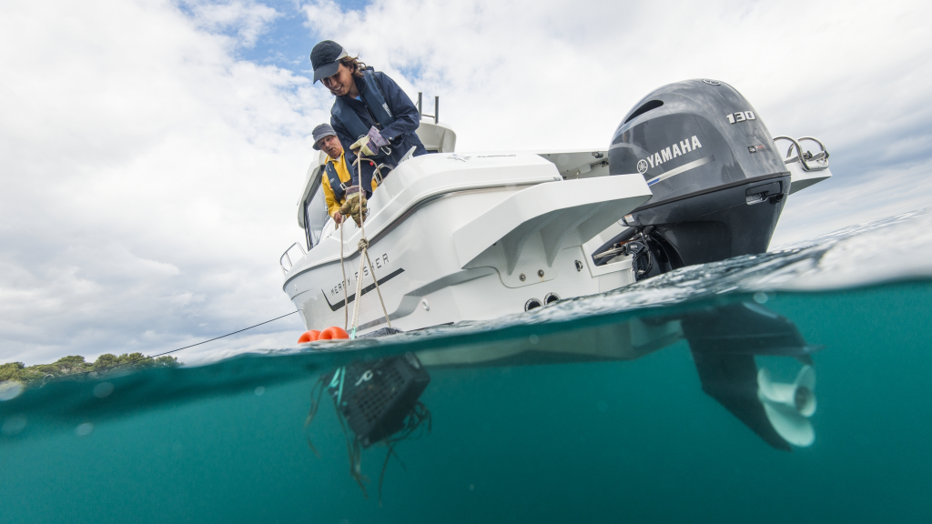 ЛОДОЧНЫЙ МОТОР YAMAHA F130 AETX в Майкопе