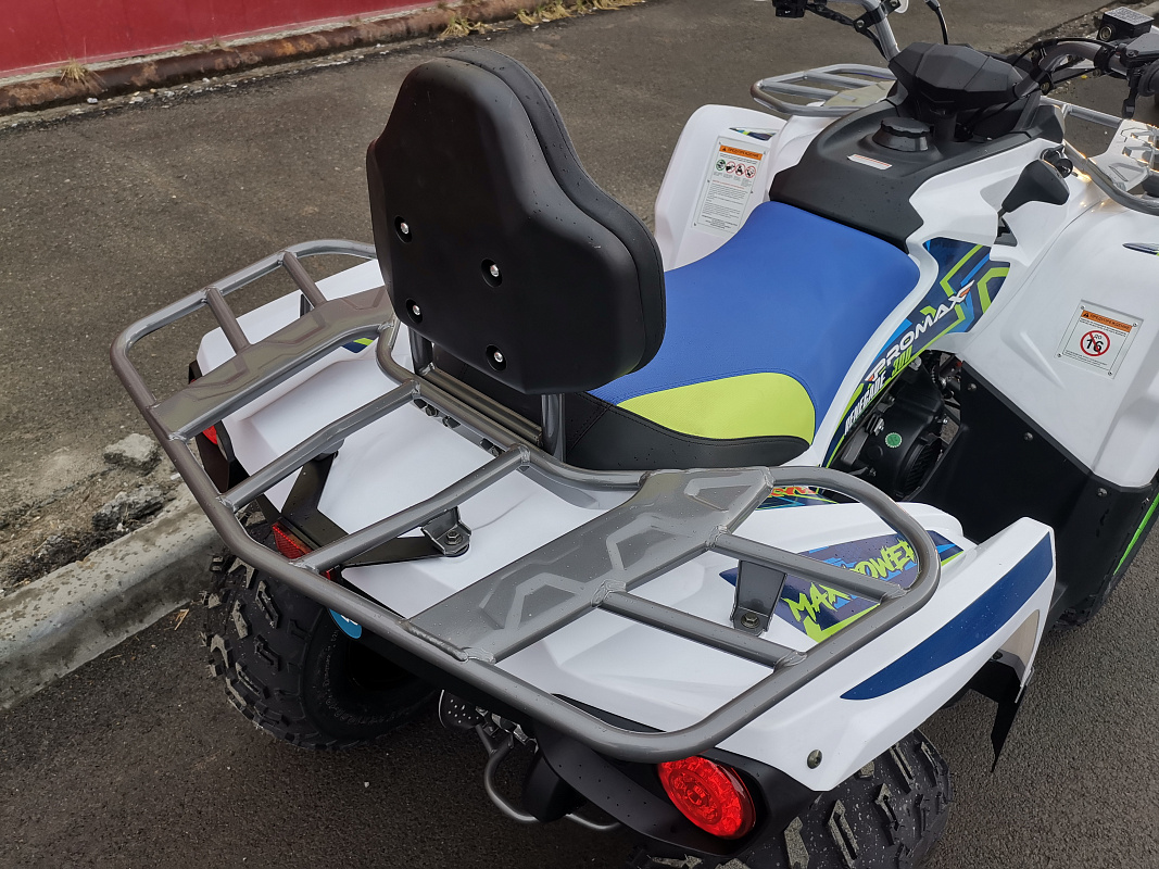 Квадроцикл PROMAX RENEGADE 280 LUX (2025) в Майкопе
