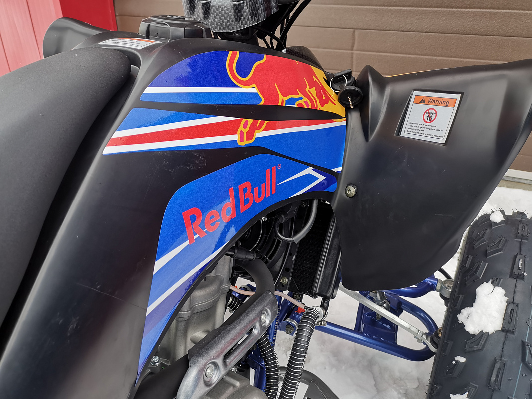 Квадроцикл PROMAX RAPTOR 300 NEW RedBull в Майкопе