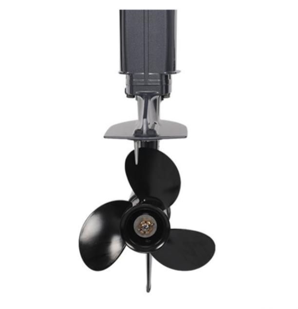 Лодочный мотор ALLFA CG Т40FW S в Майкопе