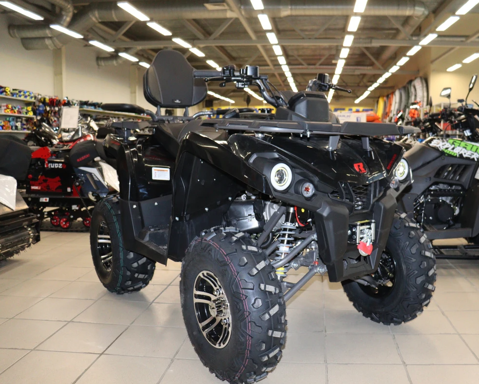 Квадроцикл PROMAX RENEGADE 300 LONG WINCH PRO (2025) в Майкопе