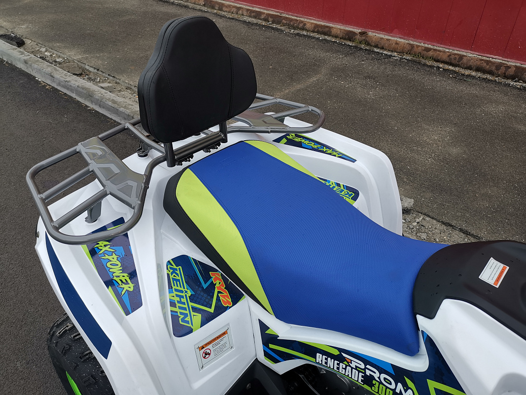 Квадроцикл PROMAX RENEGADE 280 LUX (2025) в Майкопе