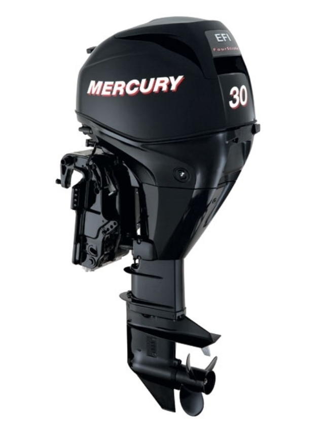 ЛОДОЧНЫЙ МОТОР MERCURY  F 30 ELH GA EFI в Майкопе