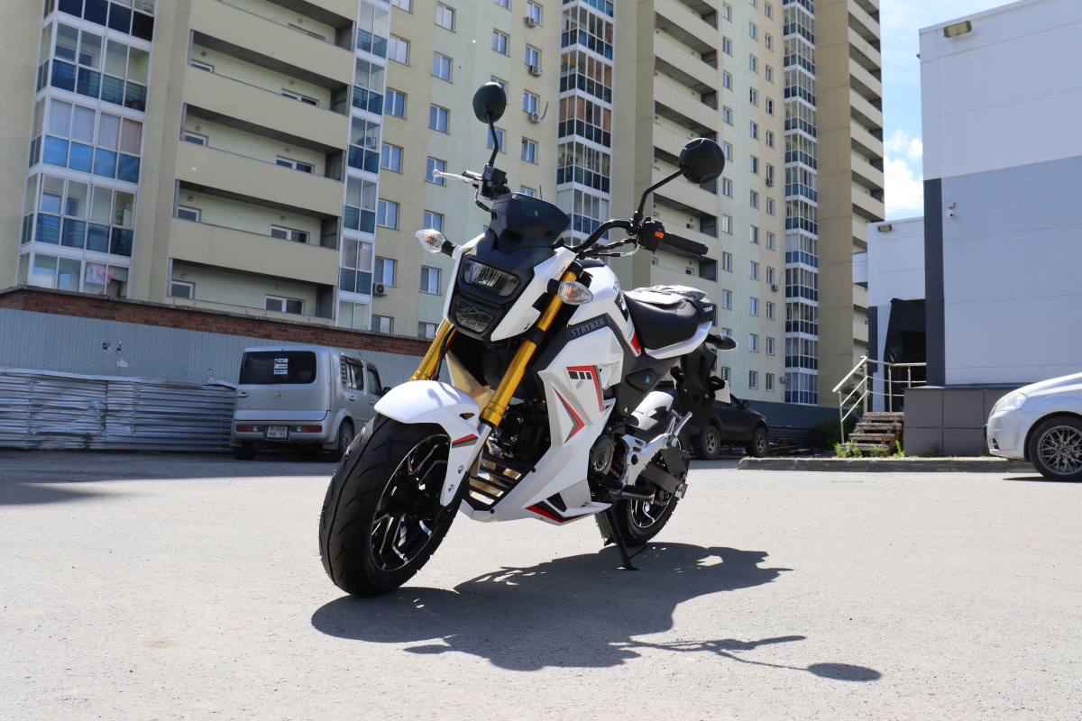 Мотоцикл PROMAX STRYKER 200(49) 2.0 в Майкопе