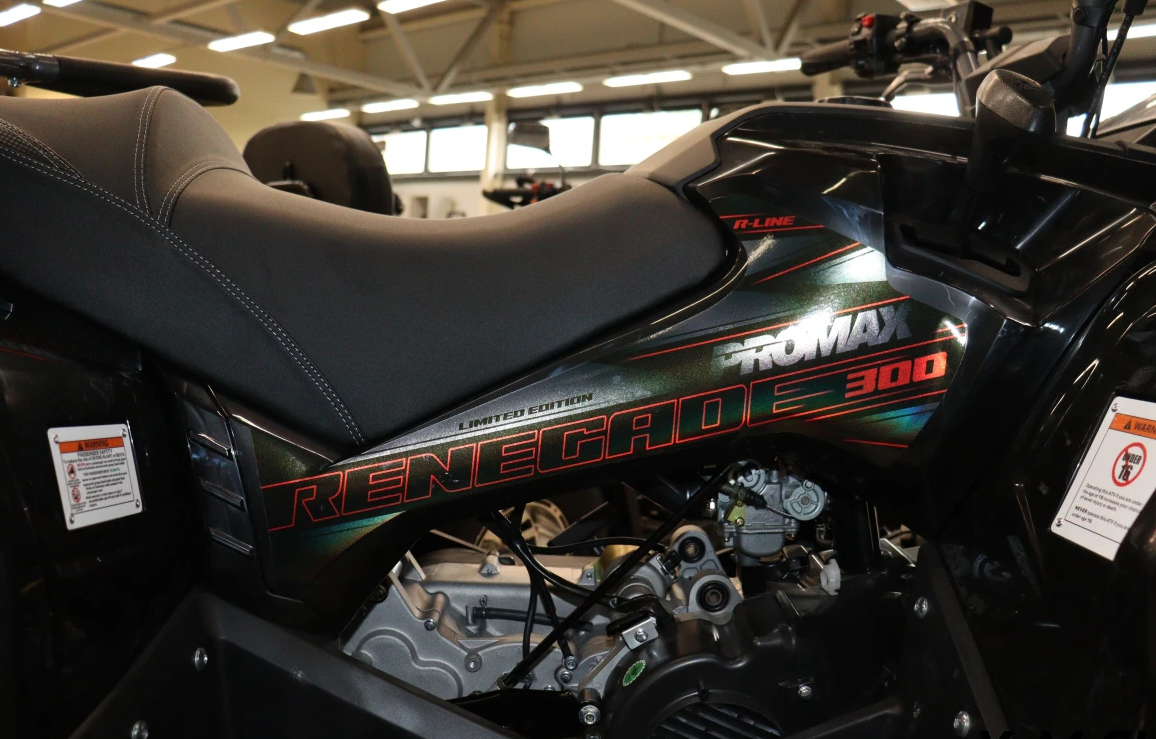 Квадроцикл PROMAX RENEGADE 300 LONG WINCH PRO (2025) в Майкопе