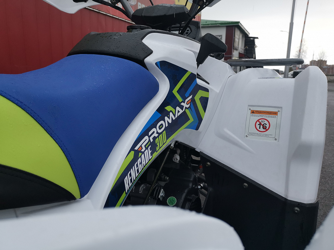 Квадроцикл PROMAX RENEGADE 280 LUX (2025) в Майкопе