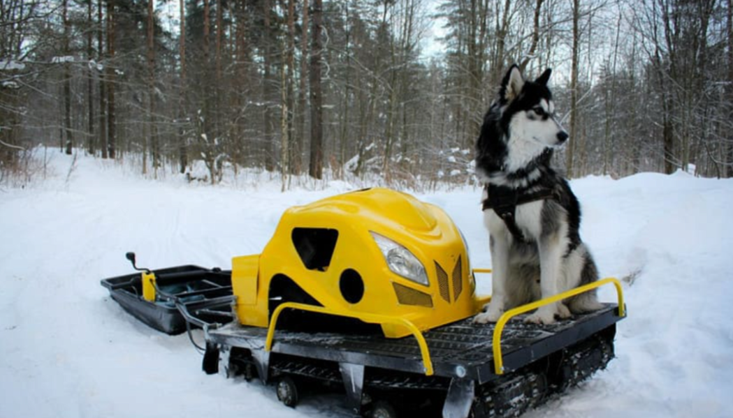 Мотобуксировщик LEBEDEV MOTORS ВОЛКОДАВ POWER V13 в Майкопе
