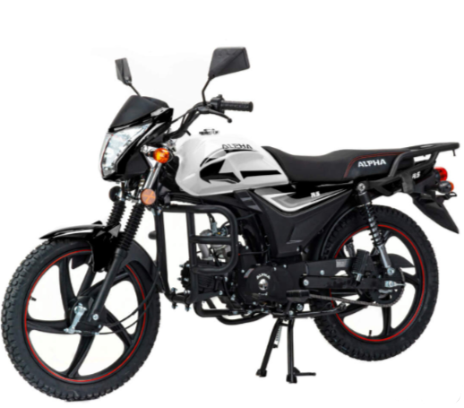 Мопед MOTOLAND (МОТОЛЕНД) Альфа RS 11 (LM48-B) в Майкопе