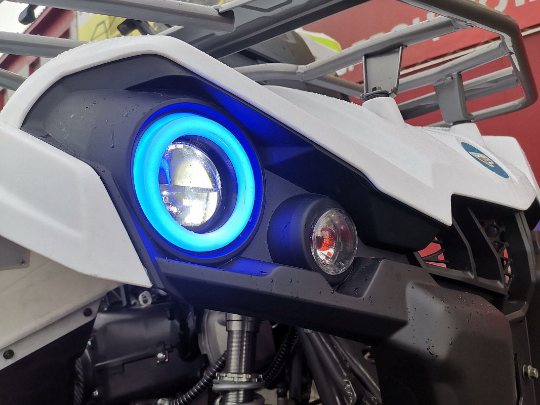 Квадроцикл PROMAX RENEGADE 280 LUX (2025) в Майкопе