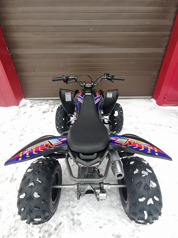 Квадроцикл PROMAX RAPTOR 300 NEW RedBull в Майкопе