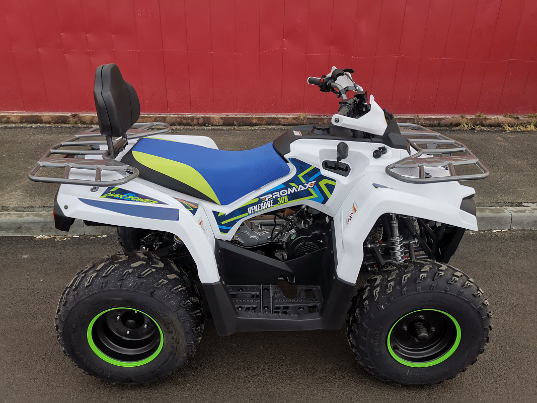 Квадроцикл PROMAX RENEGADE 280 LUX (2025) в Майкопе