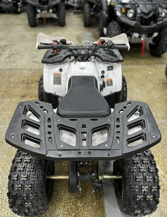 Квадроцикл PROMAX WILD 2.0 190 в Майкопе