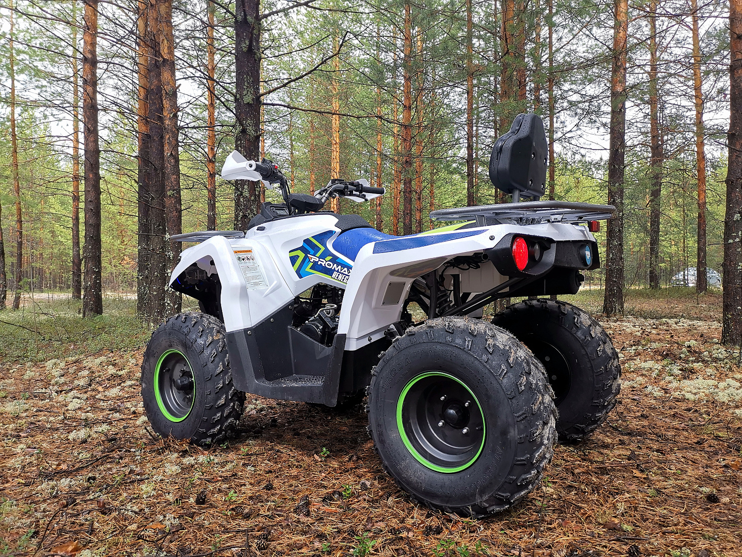 Квадроцикл PROMAX RENEGADE 280 (2025) в Майкопе