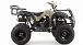 Квадроцикл MOTOLAND (МОТОЛЕНД) 200 ALL ROAD в Майкопе