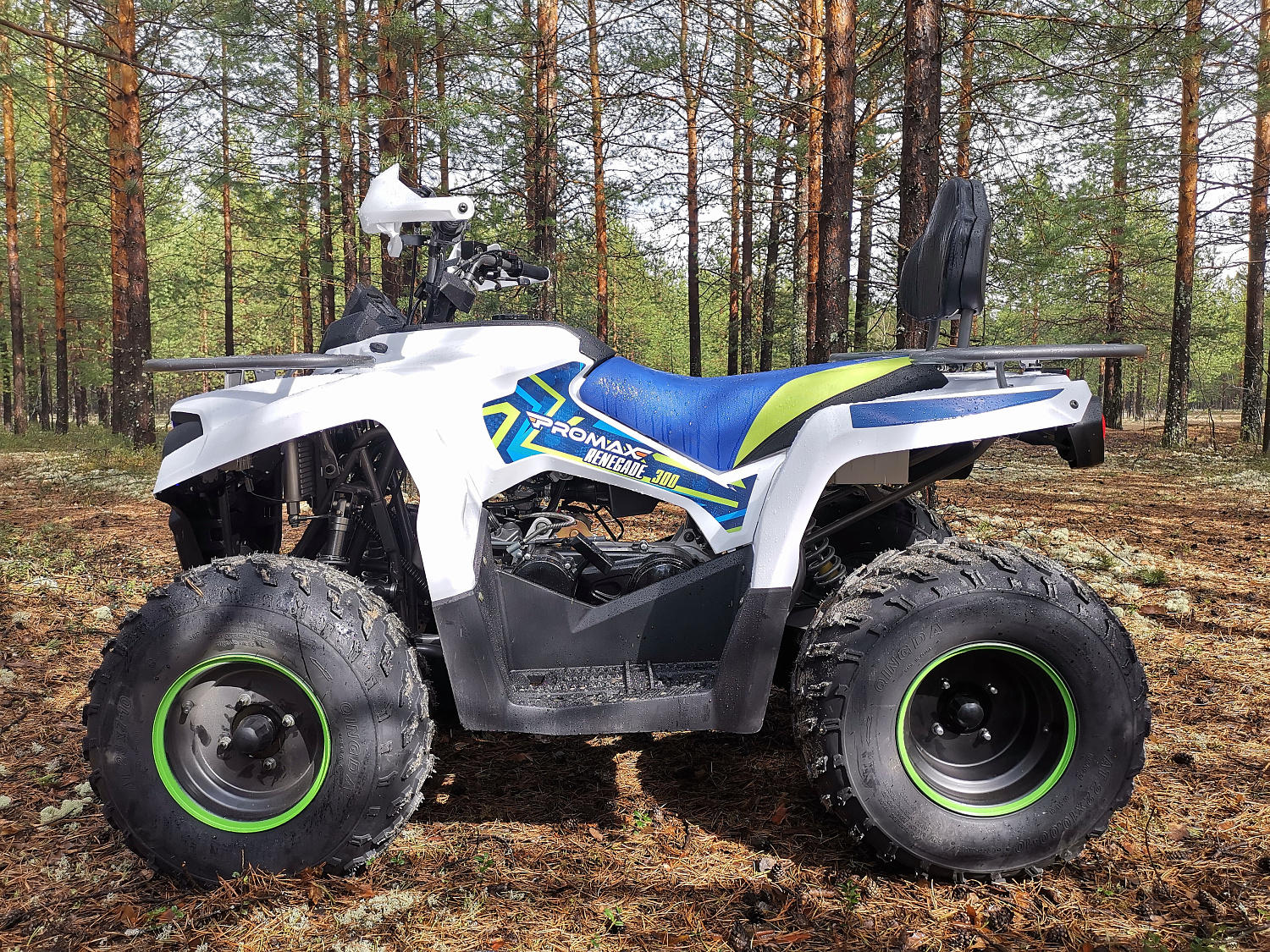 Квадроцикл PROMAX RENEGADE 280 (2025) в Майкопе