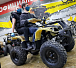 Квадроцикл PROMAX ATV 250 (2025) в Майкопе
