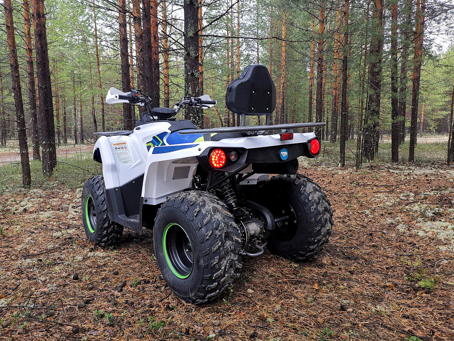 Квадроцикл PROMAX RENEGADE 280 (2025) в Майкопе