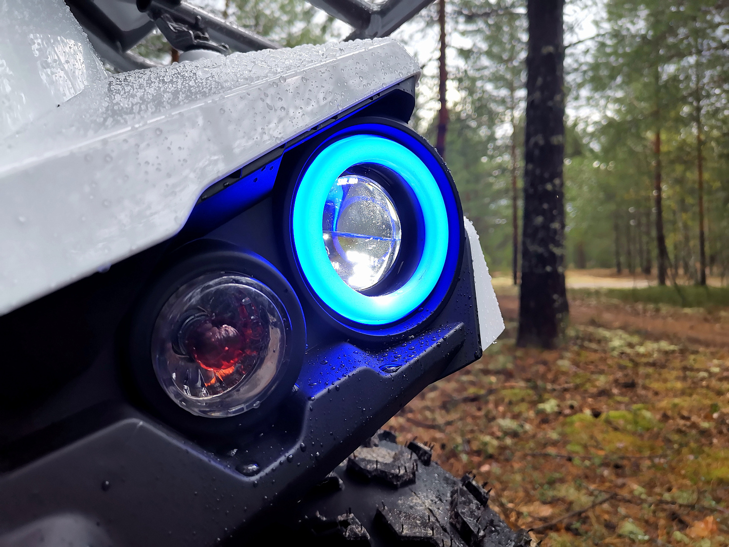 Квадроцикл PROMAX RENEGADE 280 (2025) в Майкопе