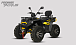 Квадроцикл PROMAX TAURUS 300 MAX-PRO LONG в Майкопе